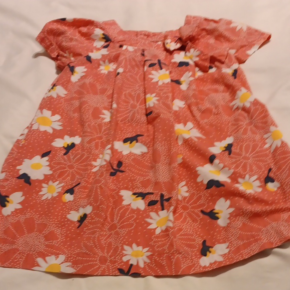 Cherokee Pink Floral Kids Dress